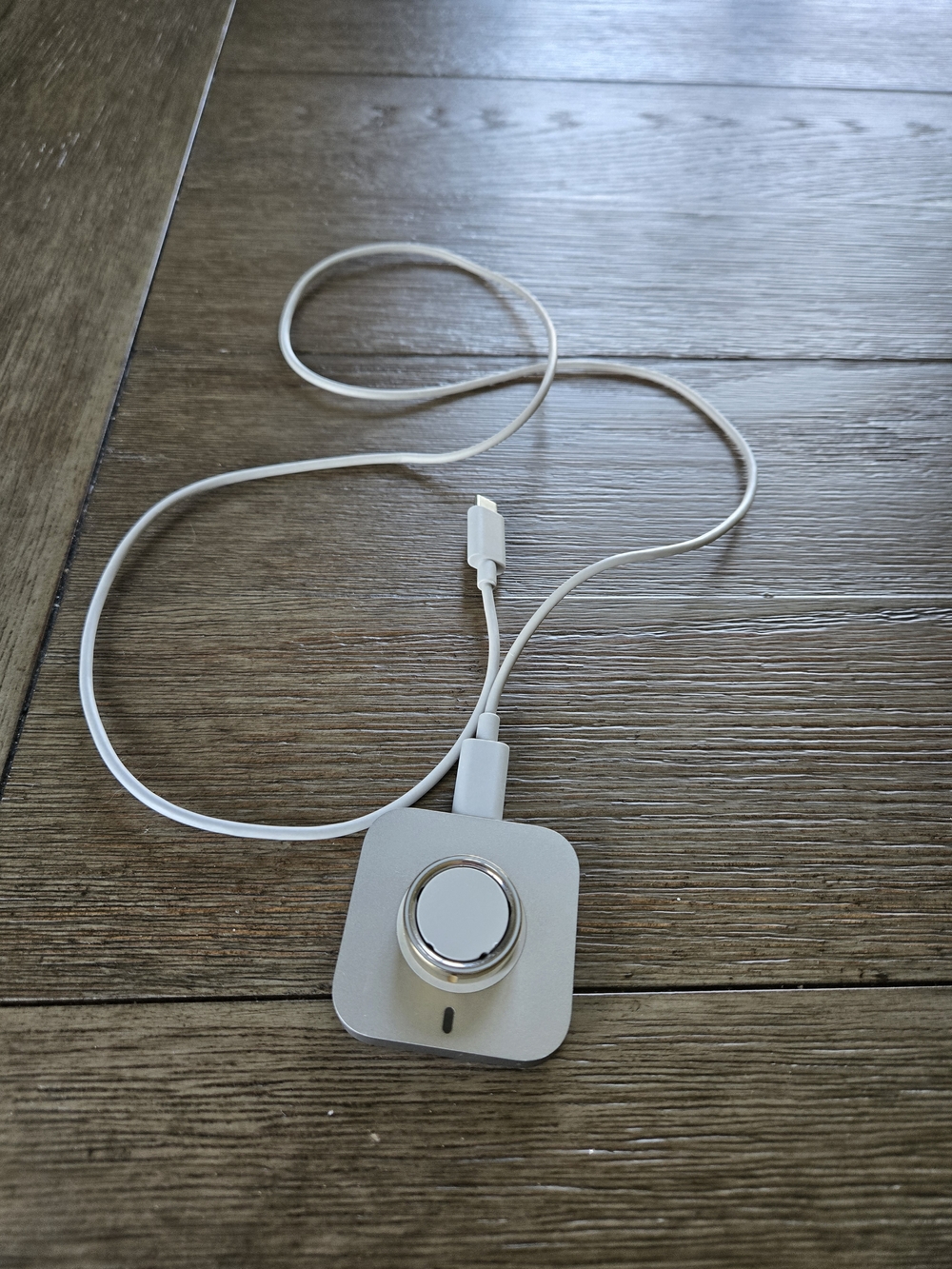 Oura Size 10 Charger With Gold Ring - Read Description